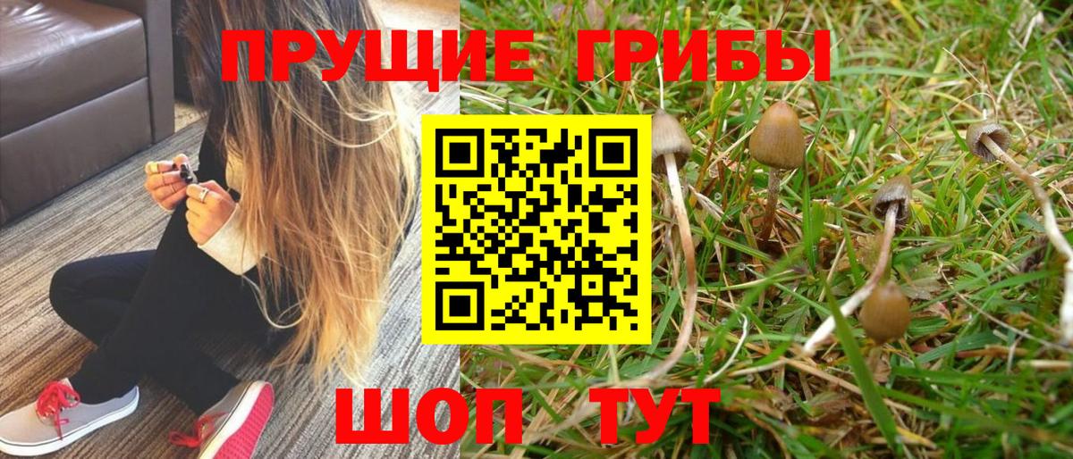 Каннабис  Советск  A PVP СК   Меф МЯУ МЯУ кристаллы  MDMA  Вход с VPN  ГАШ  Кокаин 
